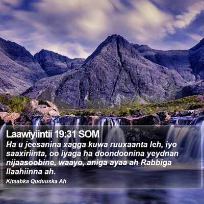 Laawiyiintii 19:31 SOM Bible Verse Image