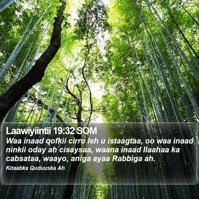 Laawiyiintii 19:32 SOM Bible Verse Image