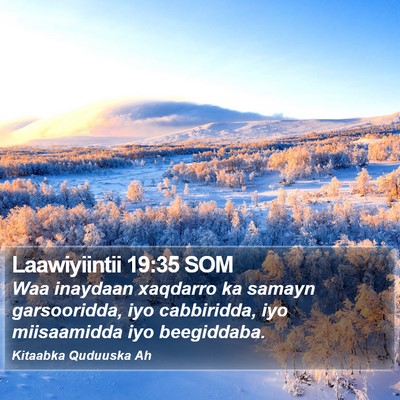 Laawiyiintii 19:35 SOM Bible Verse Image