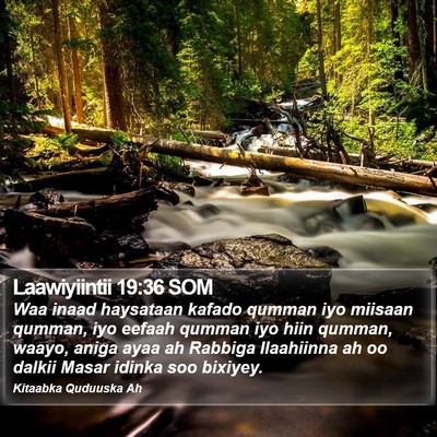 Laawiyiintii 19:36 SOM Bible Verse Image