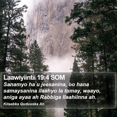 Laawiyiintii 19:4 SOM Bible Verse Image