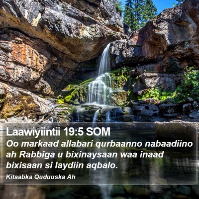 Laawiyiintii 19:5 SOM Bible Verse Image