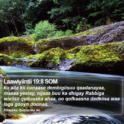 Laawiyiintii 19:8 SOM Bible Verse Image