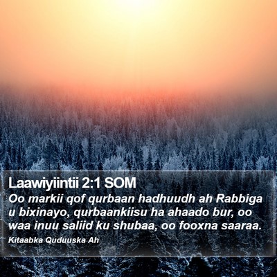 Laawiyiintii 2:1 SOM Bible Verse Image