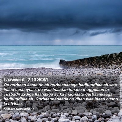 Laawiyiintii 2:13 SOM Bible Verse Image