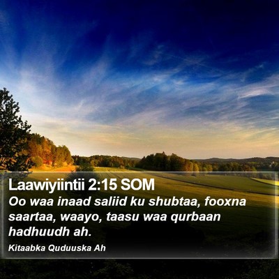 Laawiyiintii 2:15 SOM Bible Verse Image
