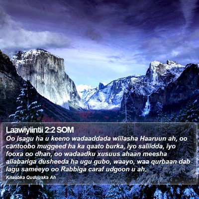 Laawiyiintii 2:2 SOM Bible Verse Image