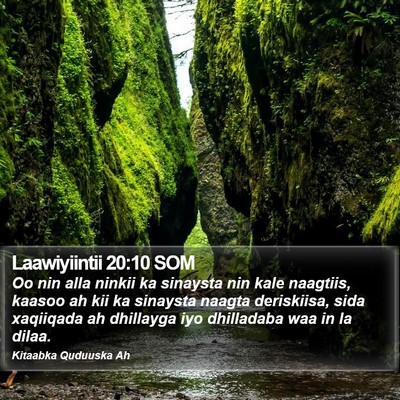Laawiyiintii 20:10 SOM Bible Verse Image