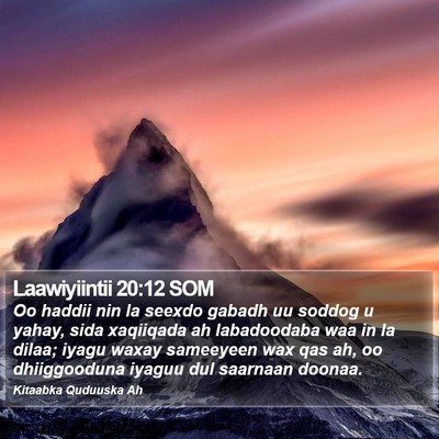 Laawiyiintii 20:12 SOM Bible Verse Image