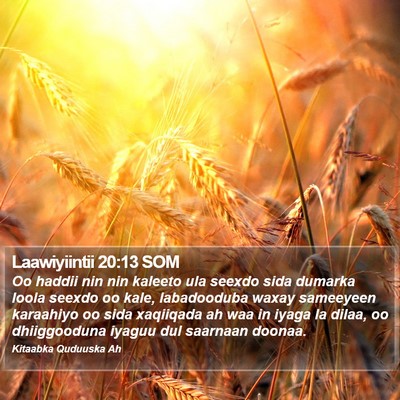 Laawiyiintii 20:13 SOM Bible Verse Image