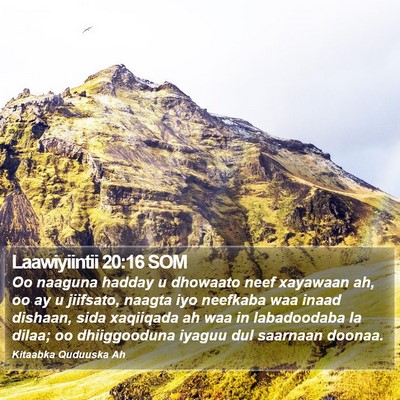 Laawiyiintii 20:16 SOM Bible Verse Image