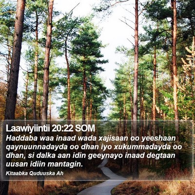 Laawiyiintii 20:22 SOM Bible Verse Image