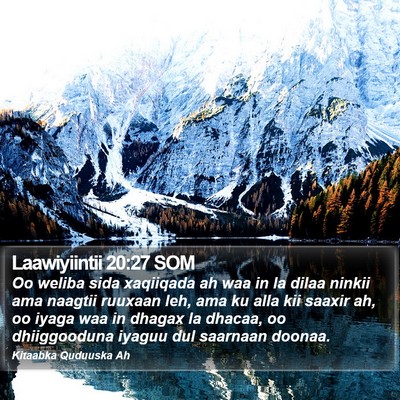 Laawiyiintii 20:27 SOM Bible Verse Image