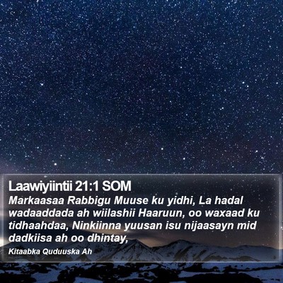 Laawiyiintii 21:1 SOM Bible Verse Image