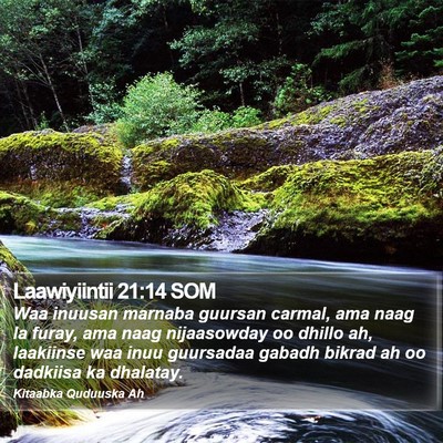 Laawiyiintii 21:14 SOM Bible Verse Image