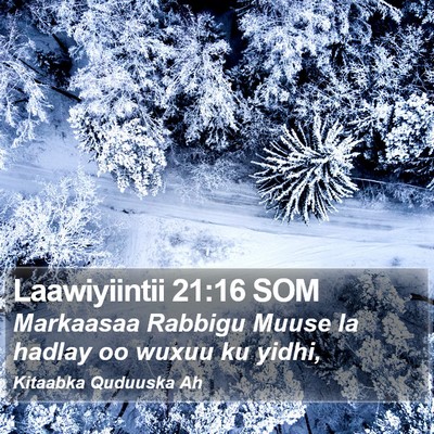 Laawiyiintii 21:16 SOM Bible Verse Image