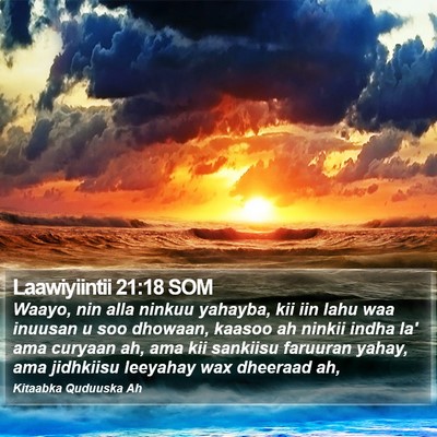 Laawiyiintii 21:18 SOM Bible Verse Image