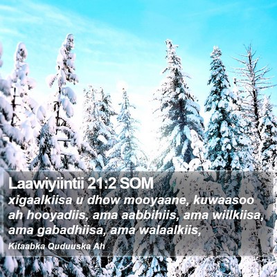 Laawiyiintii 21:2 SOM Bible Verse Image