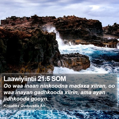 Laawiyiintii 21:5 SOM Bible Verse Image