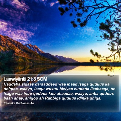 Laawiyiintii 21:8 SOM Bible Verse Image
