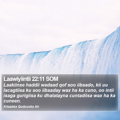 Laawiyiintii 22:11 SOM Bible Verse Image