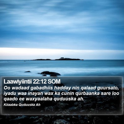 Laawiyiintii 22:12 SOM Bible Verse Image