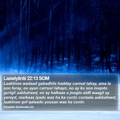 Laawiyiintii 22:13 SOM Bible Verse Image