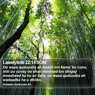 Laawiyiintii 22:14 SOM Bible Verse Image