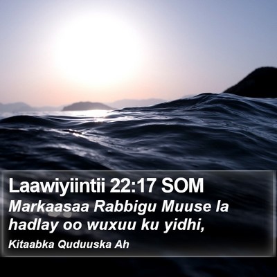 Laawiyiintii 22:17 SOM Bible Verse Image