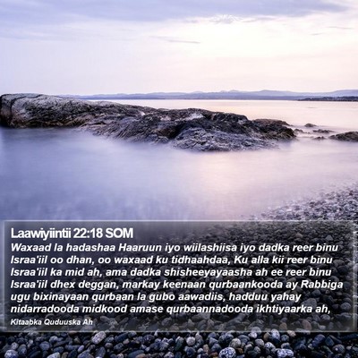 Laawiyiintii 22:18 SOM Bible Verse Image