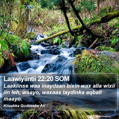 Laawiyiintii 22:20 SOM Bible Verse Image