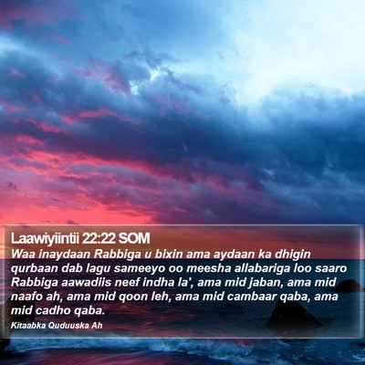 Laawiyiintii 22:22 SOM Bible Verse Image