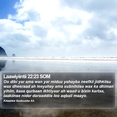 Laawiyiintii 22:23 SOM Bible Verse Image