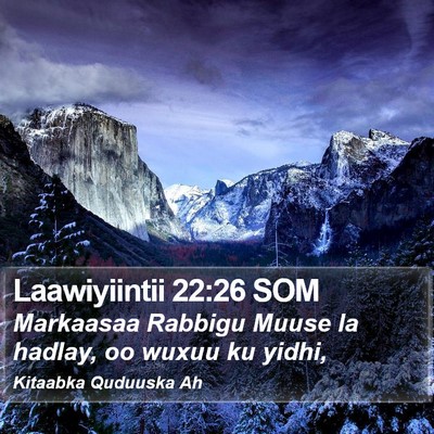 Laawiyiintii 22:26 SOM Bible Verse Image