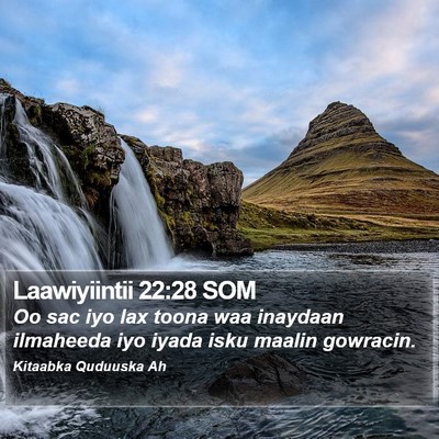 Laawiyiintii 22:28 SOM Bible Verse Image