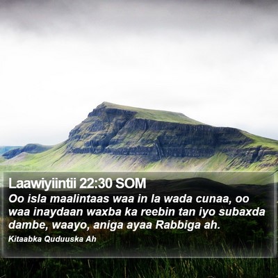 Laawiyiintii 22:30 SOM Bible Verse Image