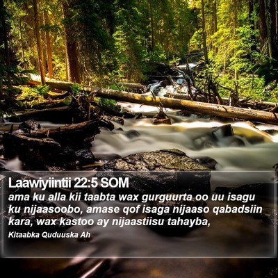 Laawiyiintii 22:5 SOM Bible Verse Image