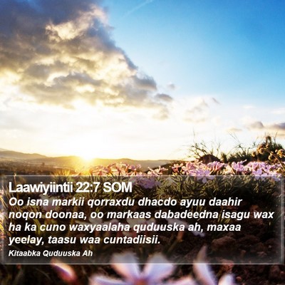Laawiyiintii 22:7 SOM Bible Verse Image