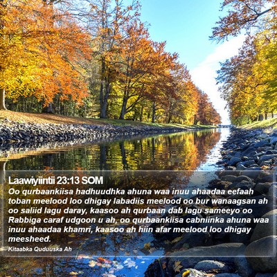 Laawiyiintii 23:13 SOM Bible Verse Image