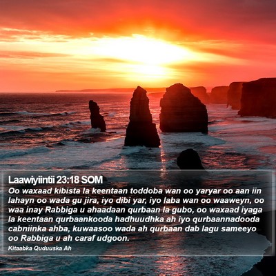 Laawiyiintii 23:18 SOM Bible Verse Image