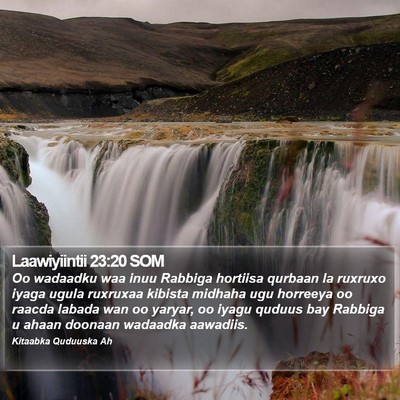 Laawiyiintii 23:20 SOM Bible Verse Image