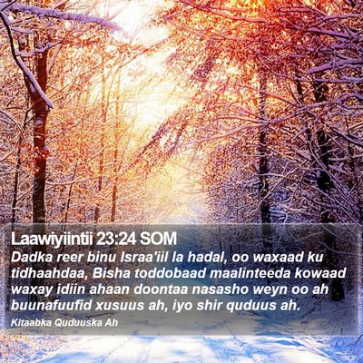 Laawiyiintii 23:24 SOM Bible Verse Image