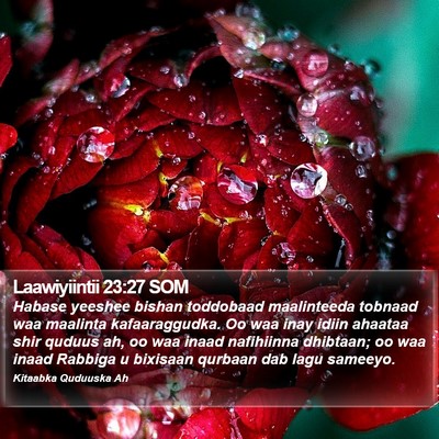 Laawiyiintii 23:27 SOM Bible Verse Image