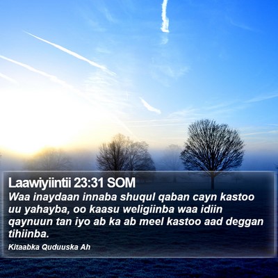 Laawiyiintii 23:31 SOM Bible Verse Image