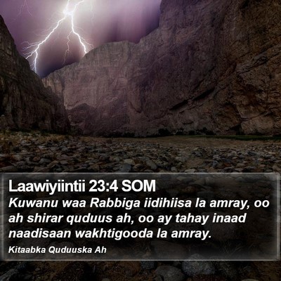 Laawiyiintii 23:4 SOM Bible Verse Image