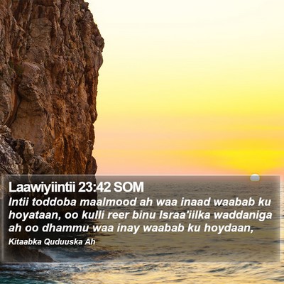 Laawiyiintii 23:42 SOM Bible Verse Image