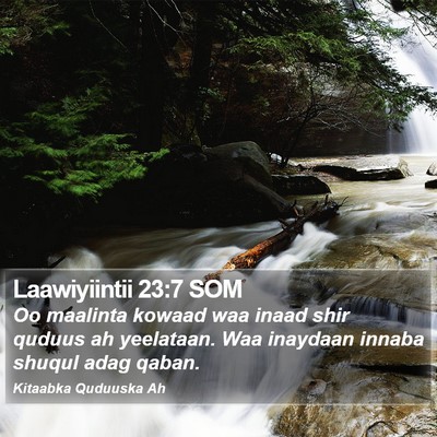 Laawiyiintii 23:7 SOM Bible Verse Image