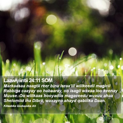 Laawiyiintii 24:11 SOM Bible Verse Image