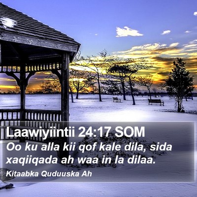 Laawiyiintii 24:17 SOM Bible Verse Image