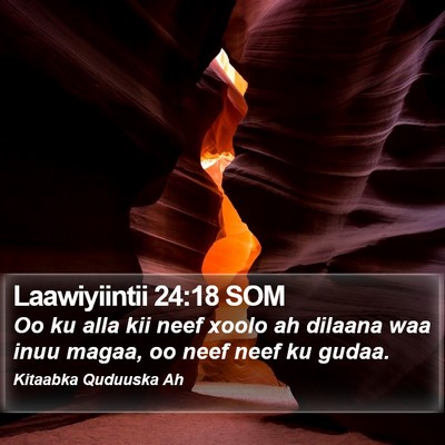 Laawiyiintii 24:18 SOM Bible Verse Image